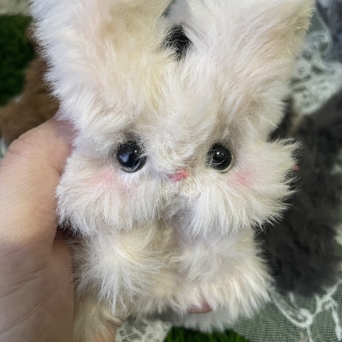 出店イメージ5