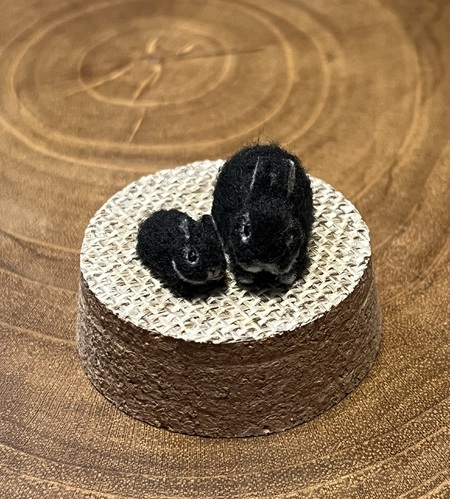 出店イメージ5
