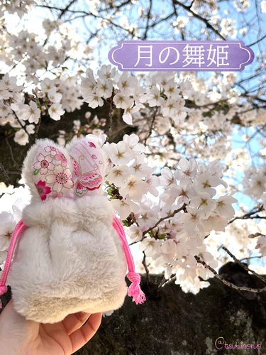 出店イメージ1
