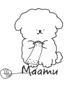 Maamu