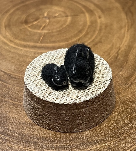出店イメージ5