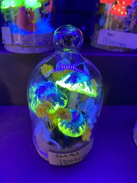 出店イメージ3
