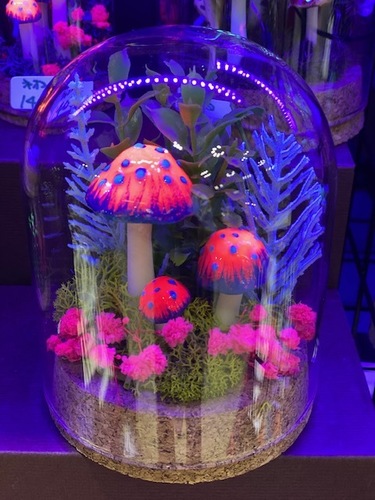 出店イメージ5