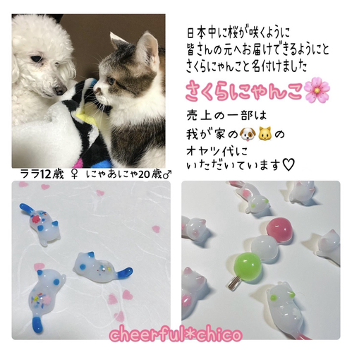 出店イメージ1
